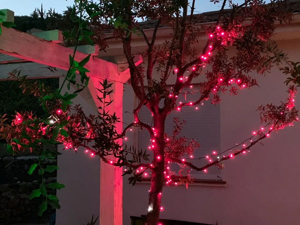 Décorer son sapin avec des guirlandes extérieures