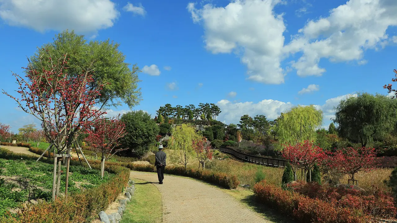 Services de nettoyage de jardin