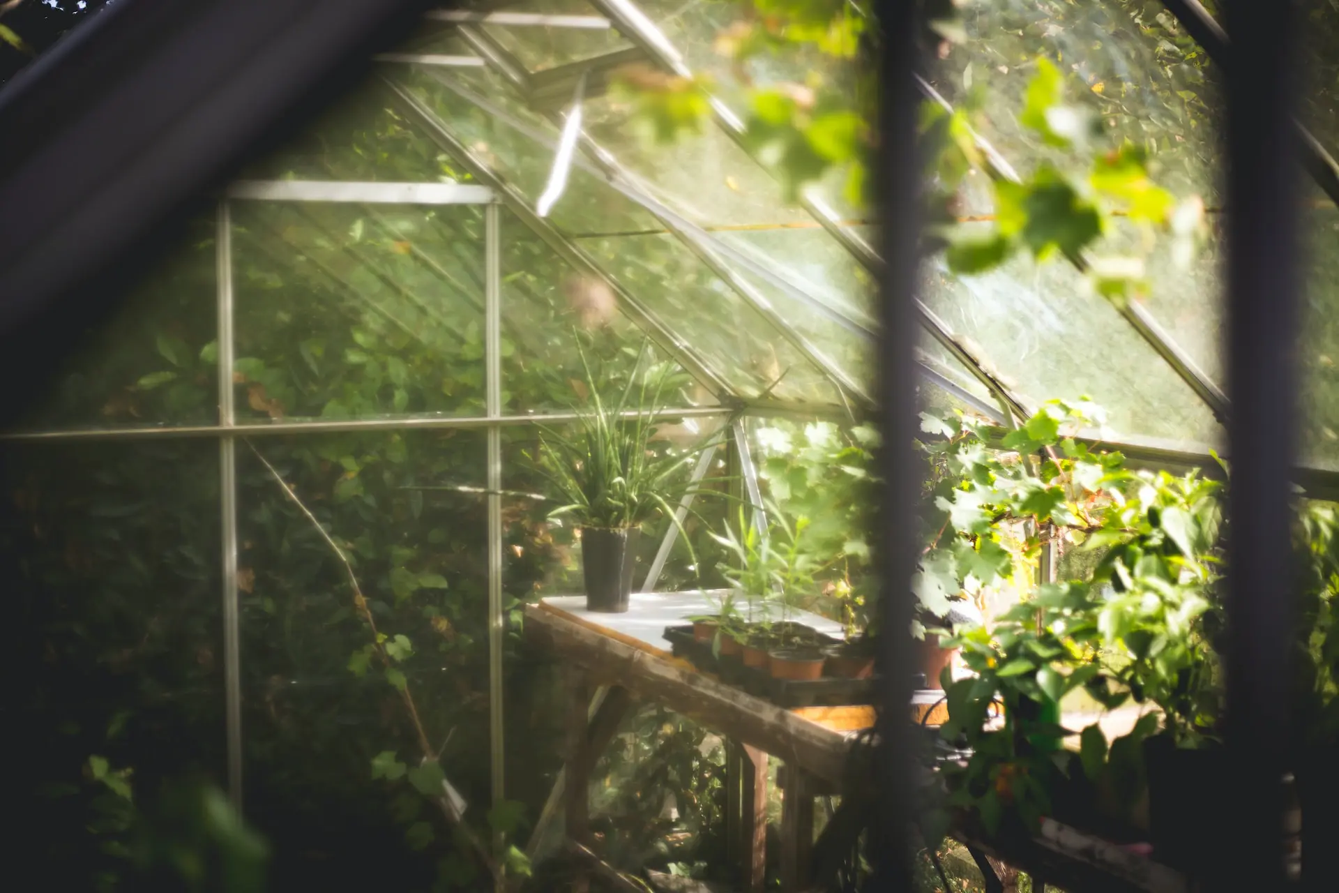 Aménager un potager