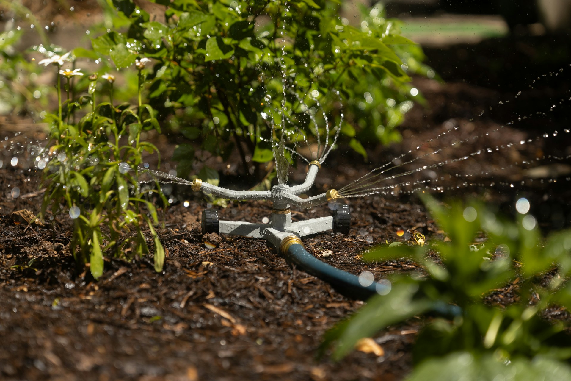 L'arrosage de son jardin