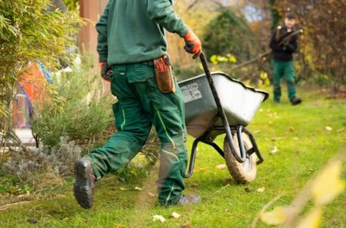 Entretien jardin locataire : obligations légales 2026