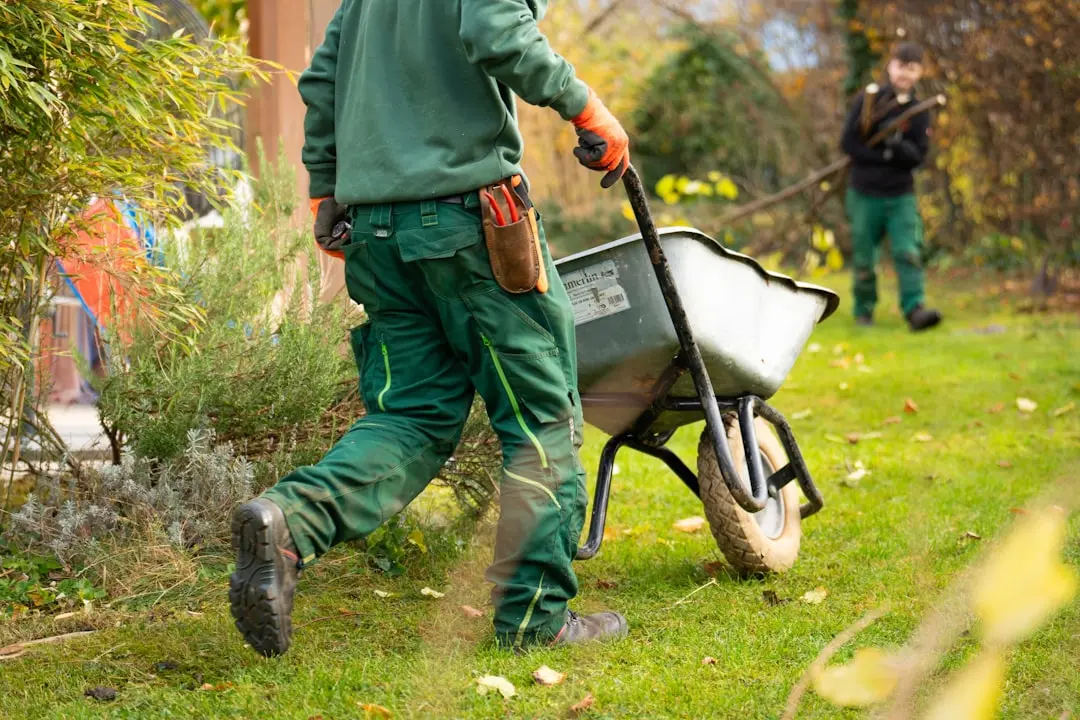 Entretien jardin locataire : obligations légales 2026