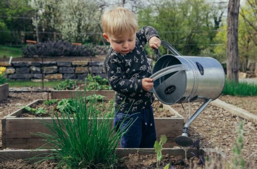 Jardinage avec enfants : activités éducatives et DIY