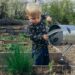 Jardinage avec enfants : activités éducatives et DIY