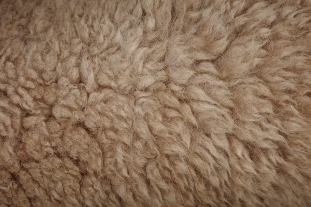 Close-up of brown, fluffy, textured fur.