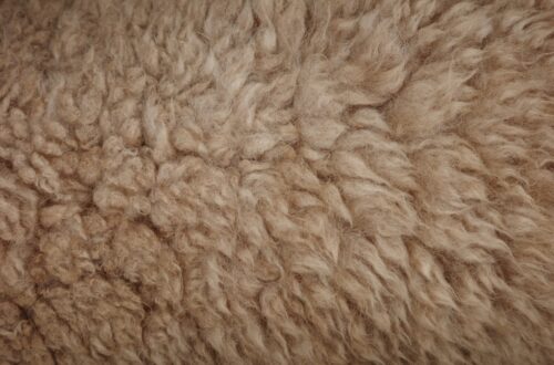 Close-up of brown, fluffy, textured fur.