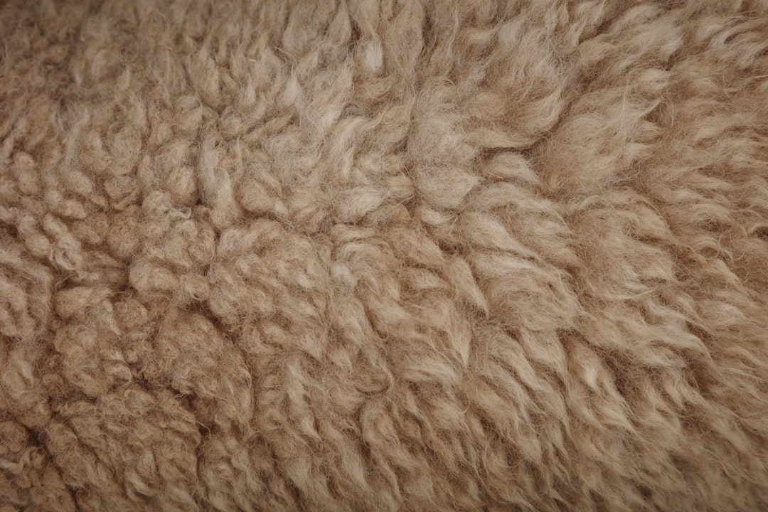 Close-up of brown, fluffy, textured fur.