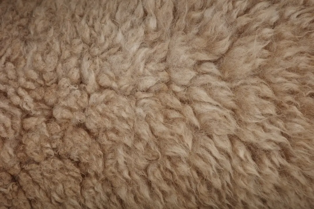 Close-up of brown, fluffy, textured fur.